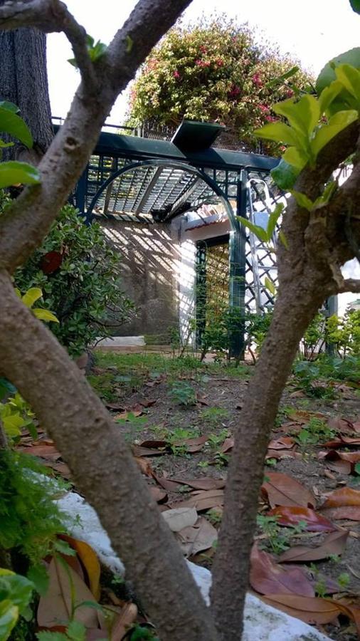Villa Iscla Maison D'Hotes อีสเกีย ภายนอก รูปภาพ