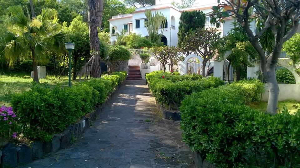 Villa Iscla Maison D'Hotes อีสเกีย ภายนอก รูปภาพ